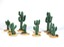 Cacti